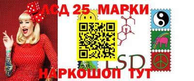 шишки Заволжье