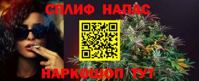 шишки Заволжье