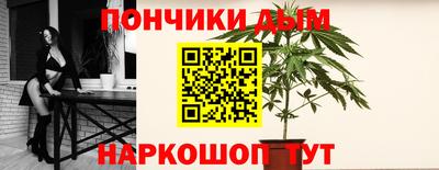 шишки Заволжье