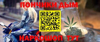 шишки Заволжье