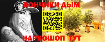 шишки Заволжье