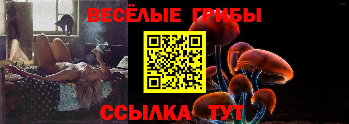Галлюциногенные грибы MAGIC MUSHROOMS Лысьва